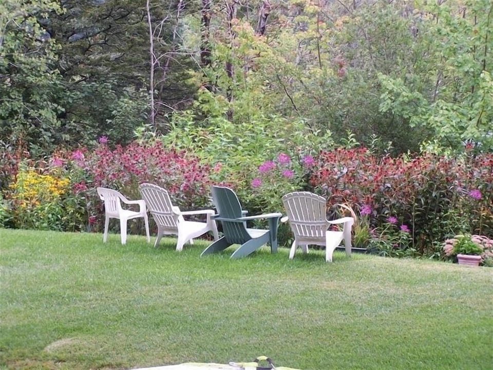 Hummingbird Garden