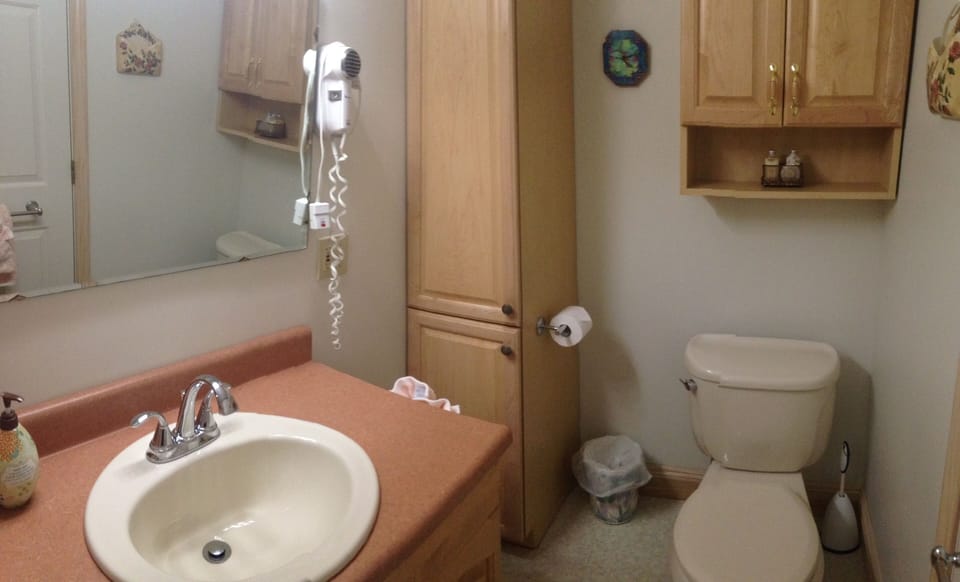 Bathroom showing linen tower and hair dryer