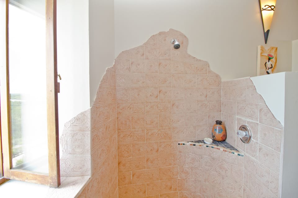 Master shower