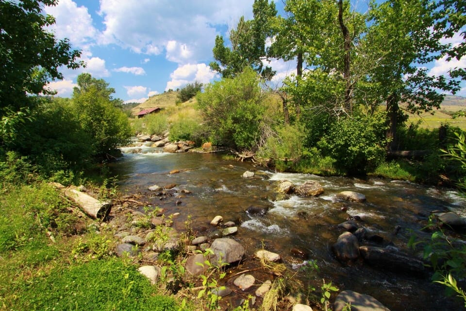 The Rock Creek rushes down to meet the Yellowstone River near the firepit area.