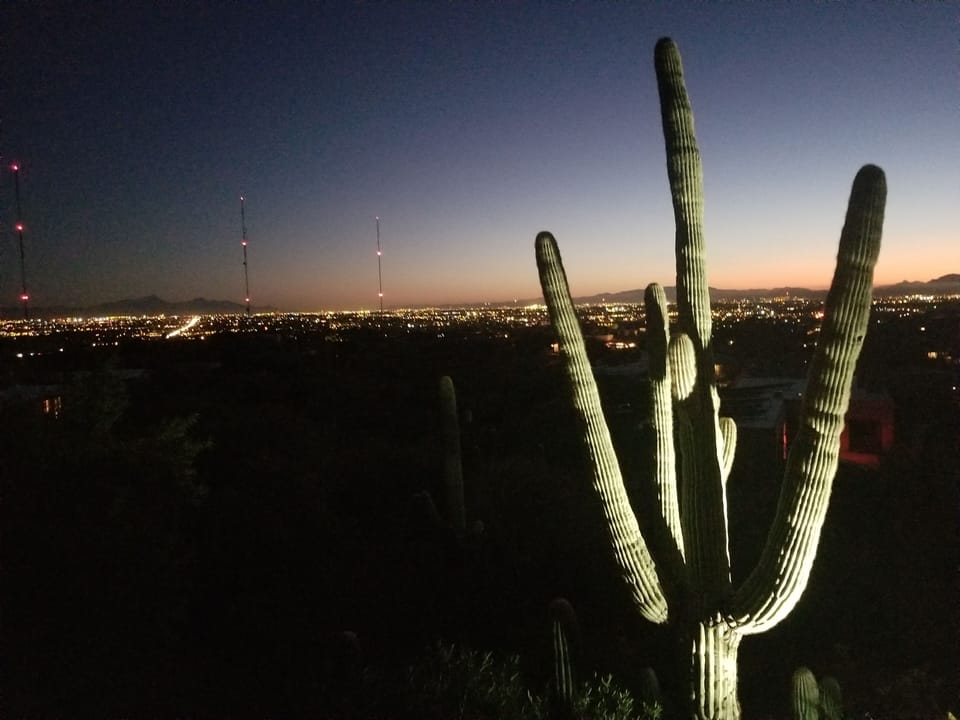 Twinkling city lights by the lit cactus
