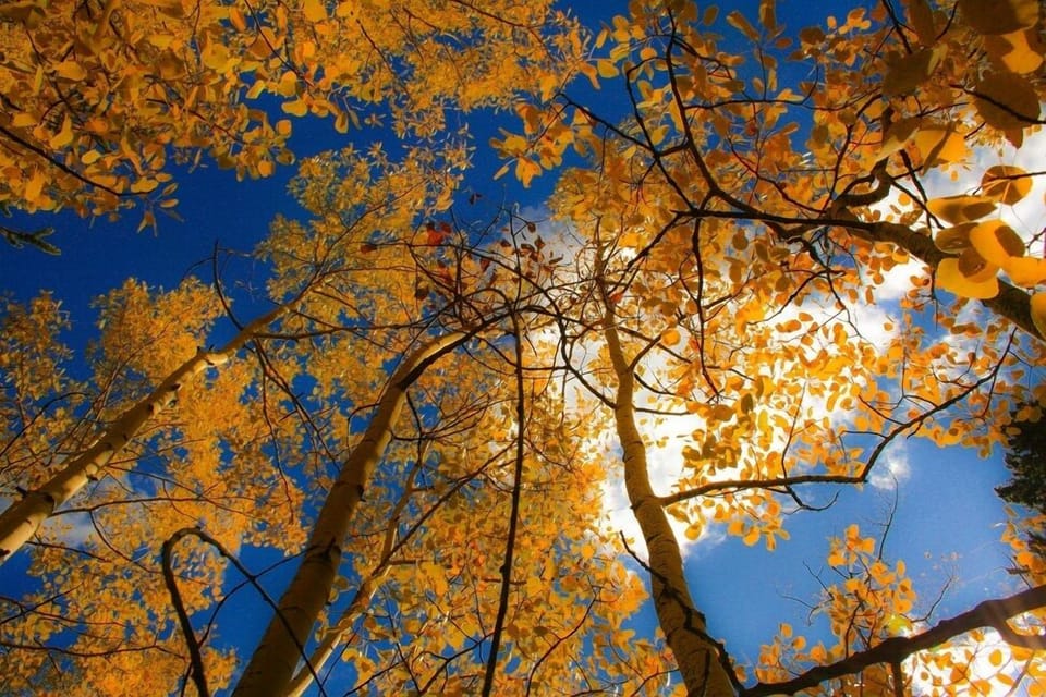 Beautiful Autumn in Summit County