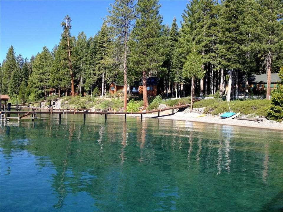 Peaceful lakeside setting w/ clear water & pine trees lining the shore