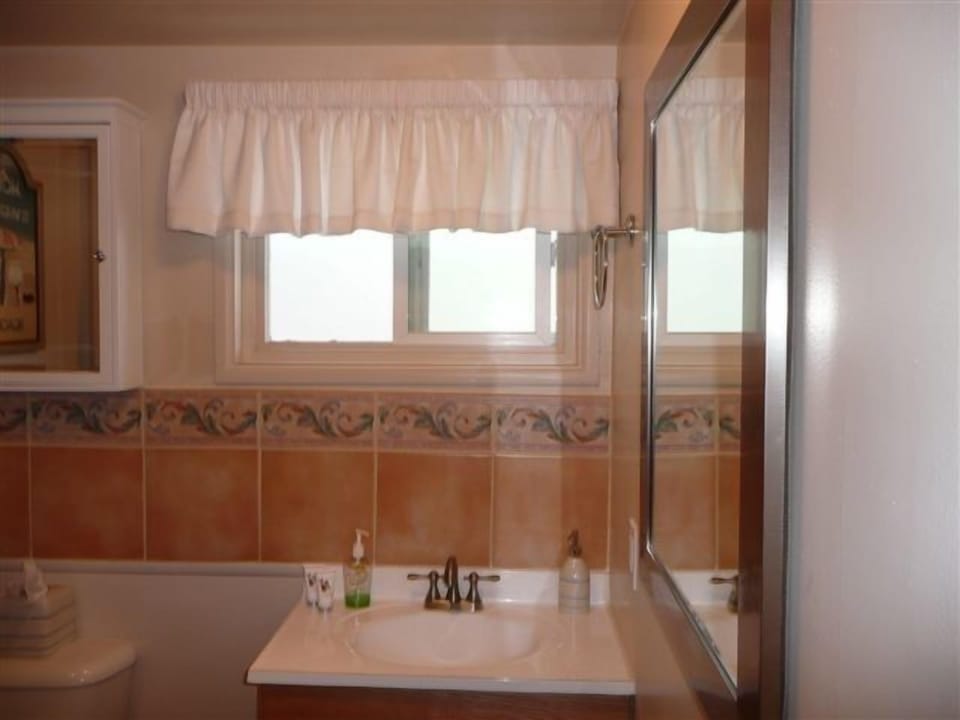 Second Bathroom view 2