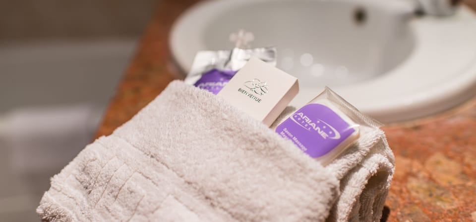 Comfort Double Room | Bathroom | Rainfall showerhead, hair dryer, towels
