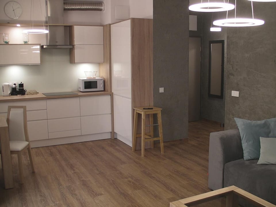 Fridge, microwave, stovetop, electric kettle