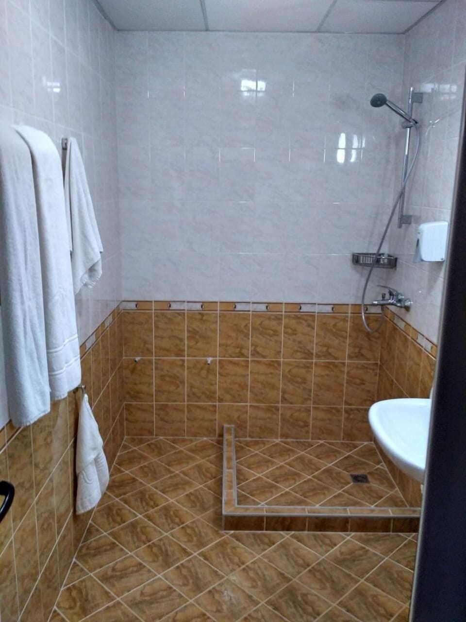 Shower, towels