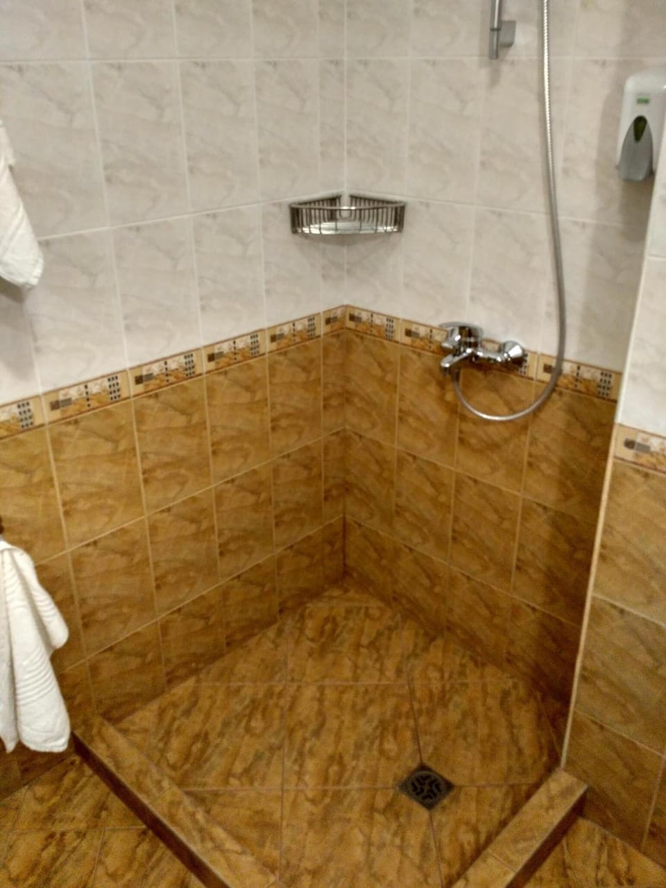 Shower, towels