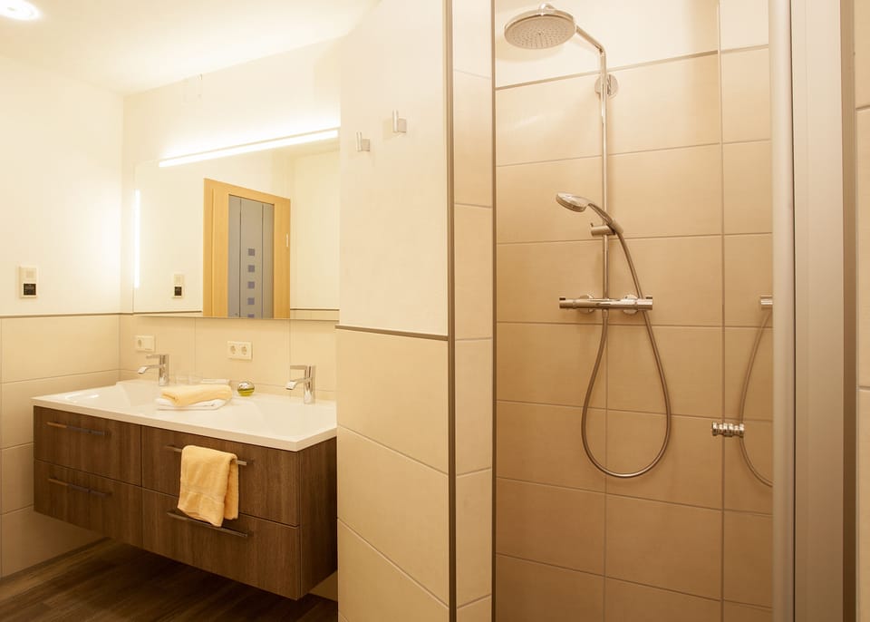 Shower, hair dryer, towels