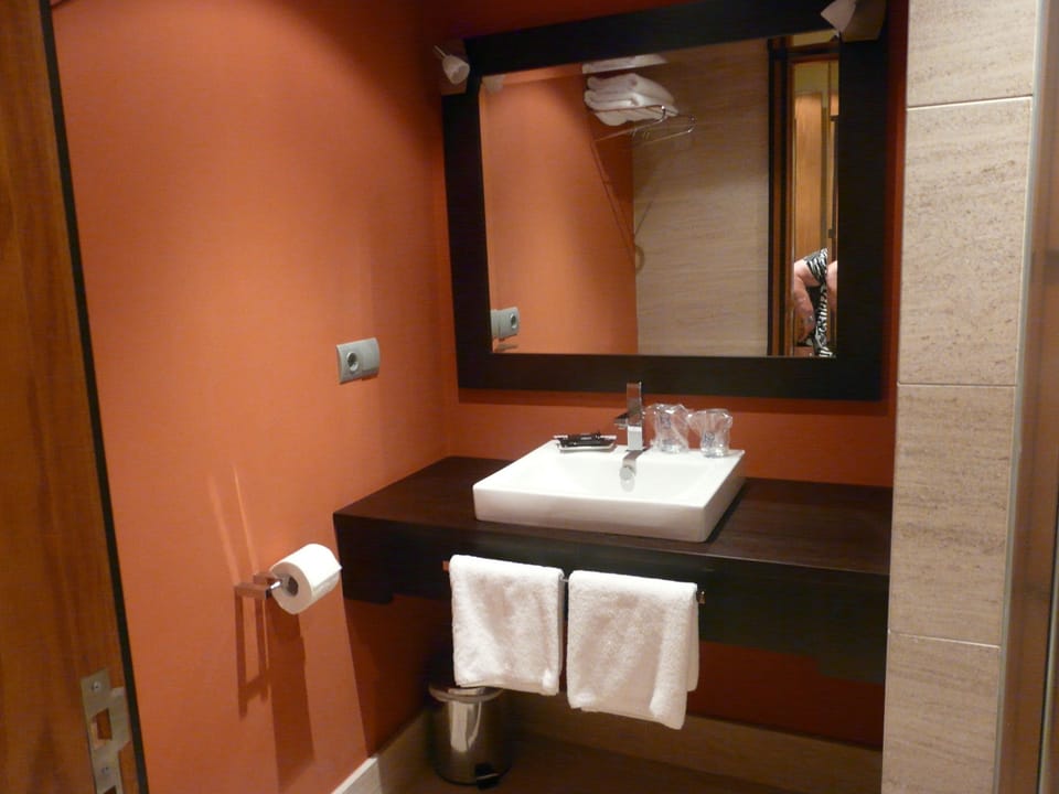 Bathroom sink