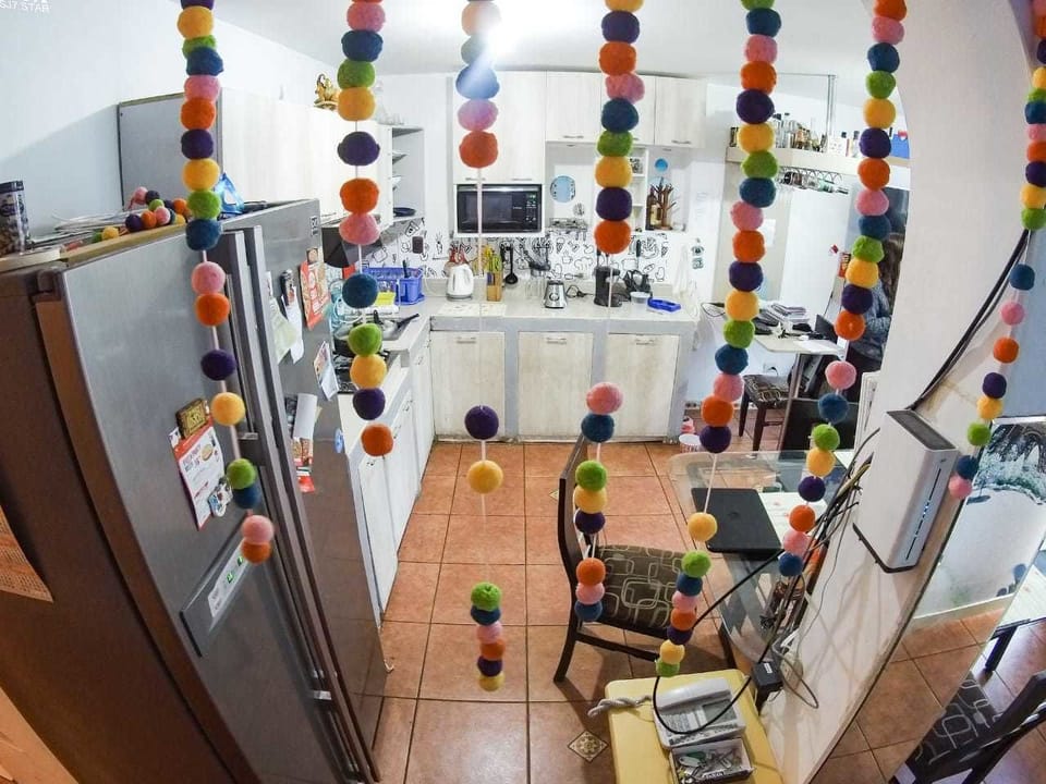 Full-size fridge, microwave, toaster, rice cooker