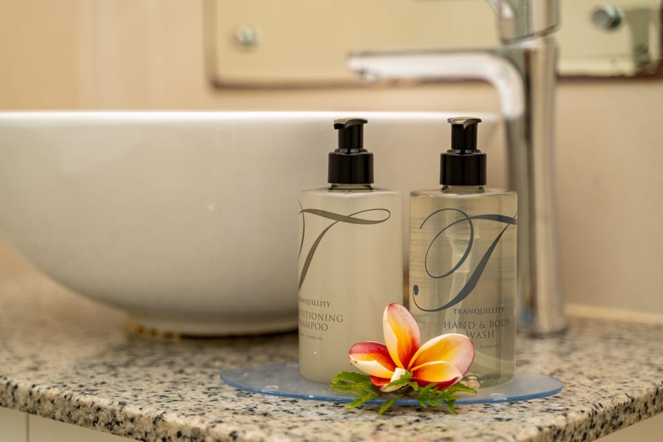 Shower, free toiletries, hair dryer (on request), towels