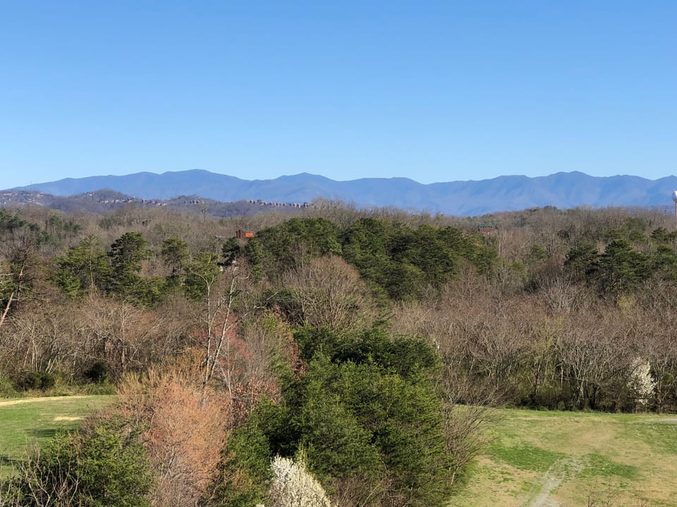 View from balcony 
