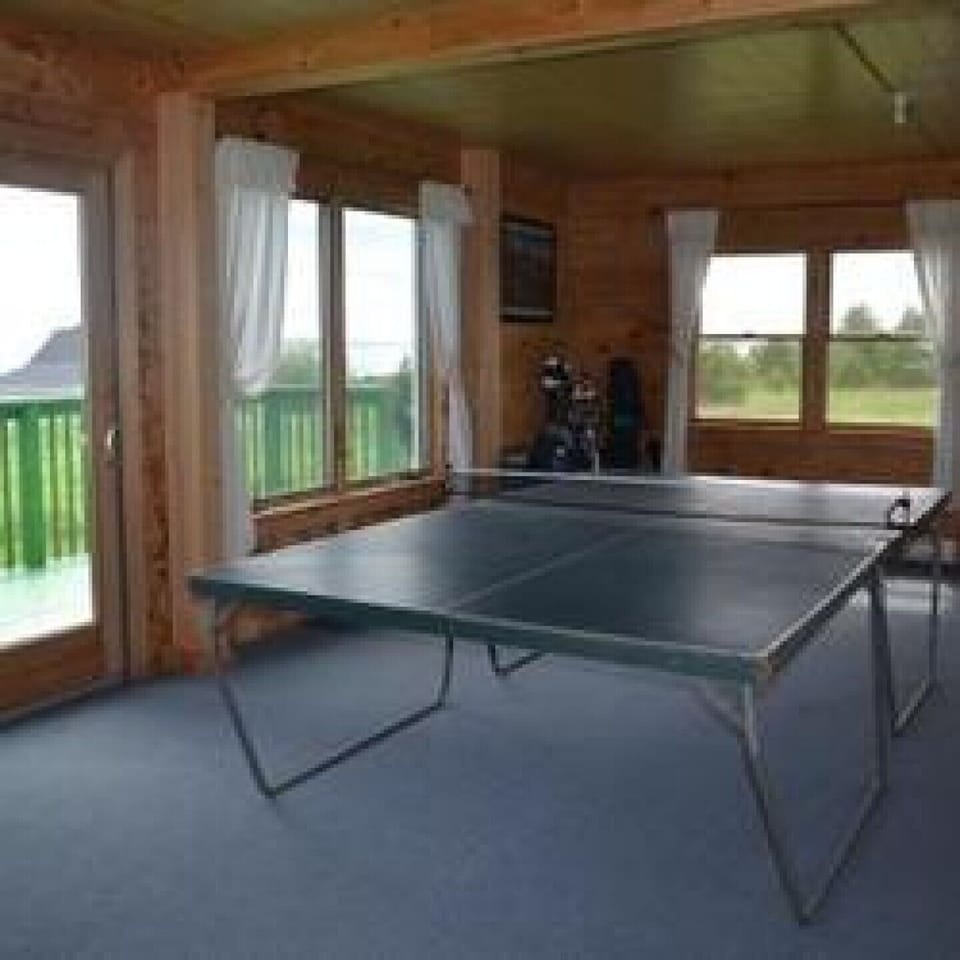 Enjoy the use of the ping pong table