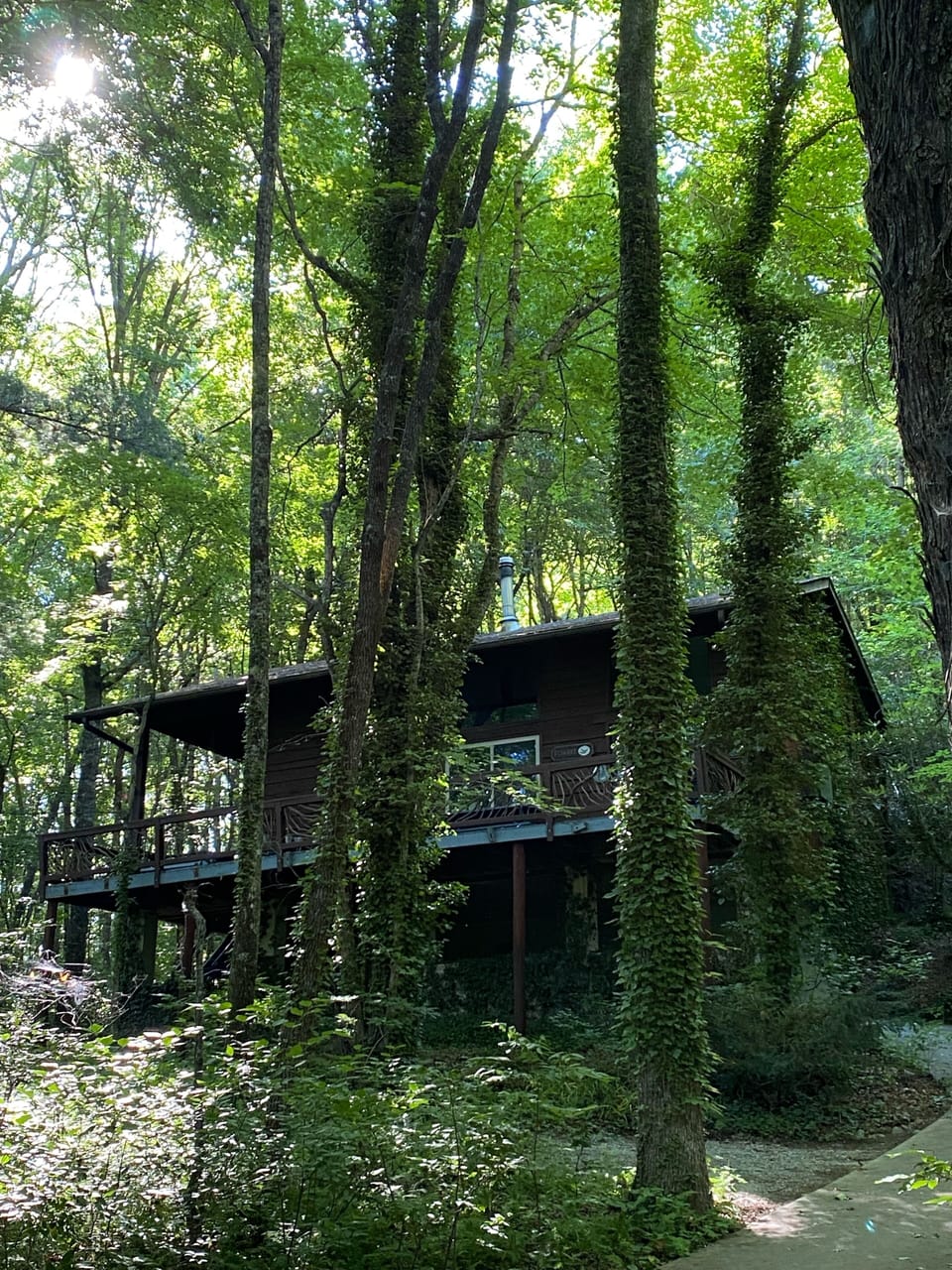 View from the bottom of the driveway
