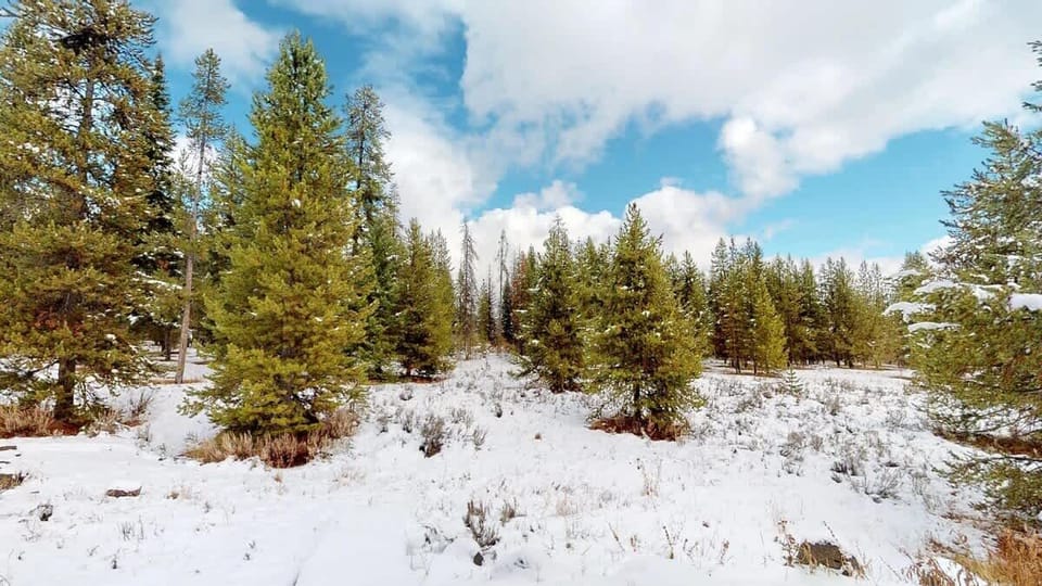 Enjoy the beautiful landscape of the cabin year round.