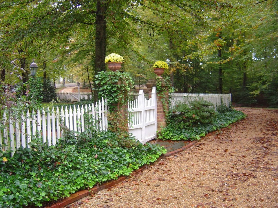 Front Driveway and Gate