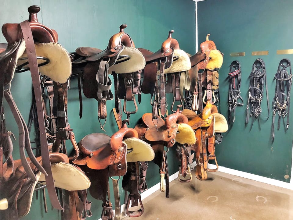 Tack room at the Horse stables