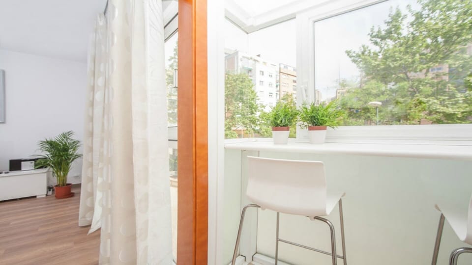 Views from Kitchen and Dining room