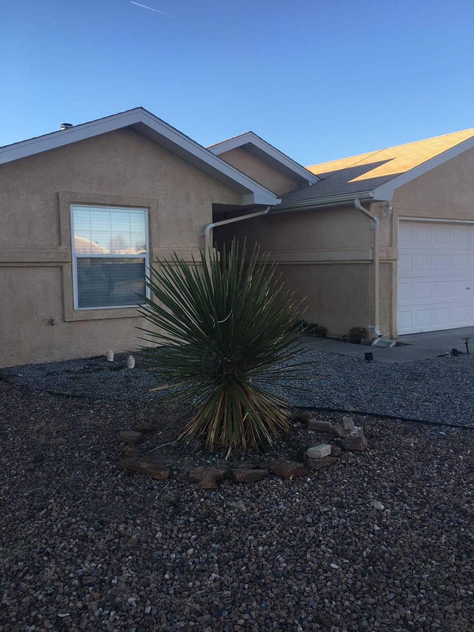 Front of the house