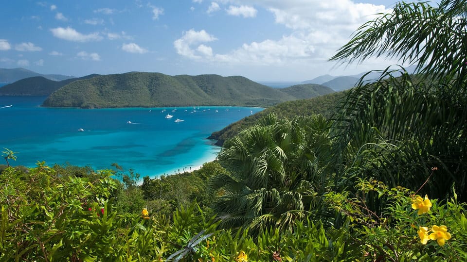 Hakuna Matata - St. John, USVI