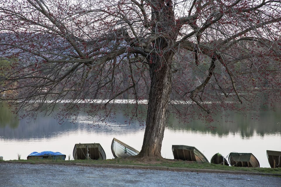 Boating at Beaver Lake about 1/2 mile away 
