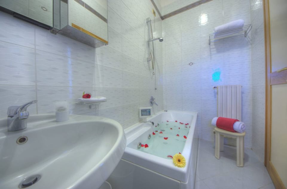 Standard Double Room | Bathroom | Hair dryer, towels
