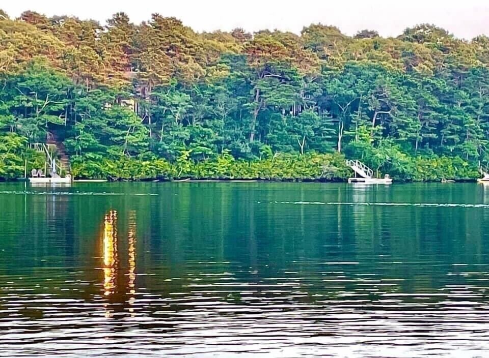 Fells pond is fantastic for swimming and kayaking