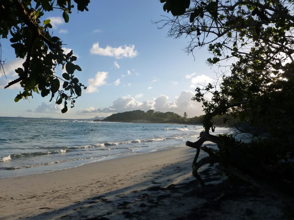 Beach