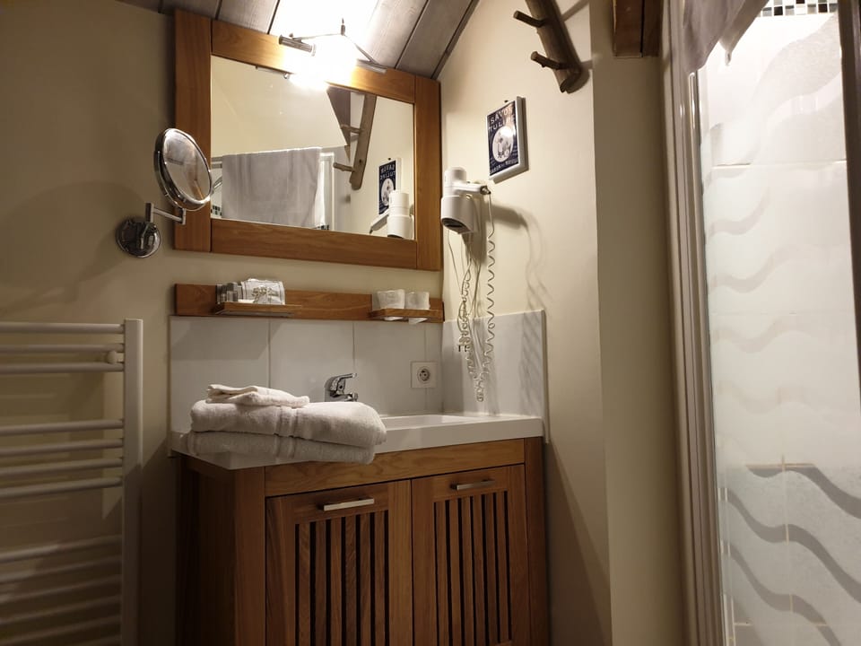Double Room (1) | Bathroom | Shower, rainfall showerhead, free toiletries, hair dryer