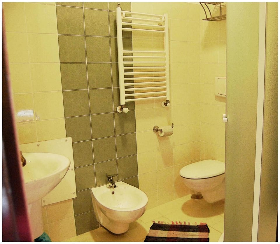 Shower, free toiletries, hair dryer, bidet