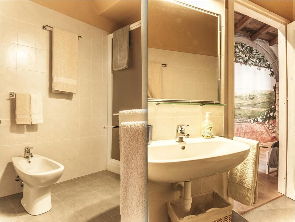 Shower, free toiletries, hair dryer, bidet