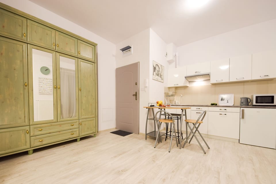 Classic Apartment, 1 Bedroom, Balcony | Private kitchenette | Fridge, microwave, stovetop, dishwasher