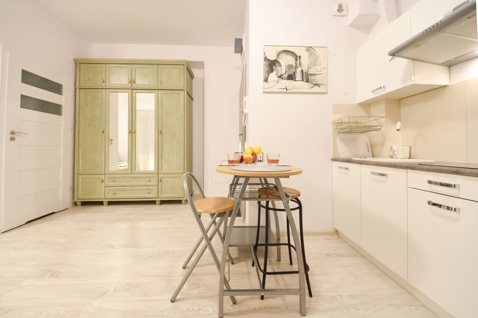 Classic Apartment, 1 Bedroom, Balcony | Private kitchenette | Fridge, microwave, stovetop, dishwasher