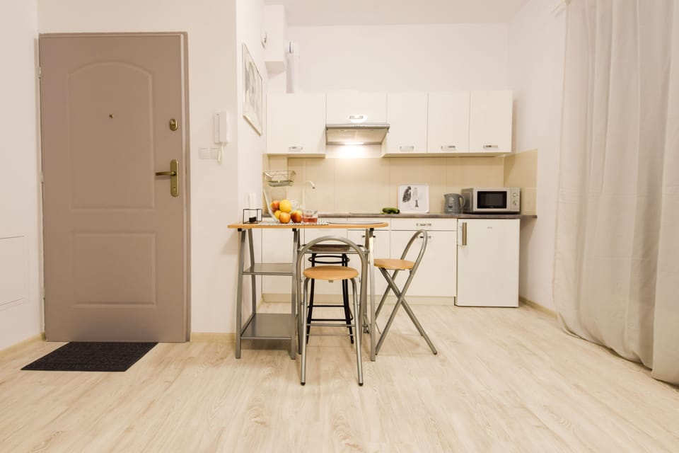 Classic Apartment, 1 Bedroom, Balcony | Private kitchenette | Fridge, microwave, stovetop, dishwasher