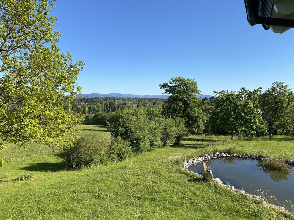 Vitalhotel Sonneneck Hotel in Braunlage