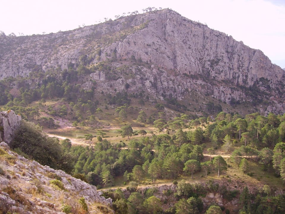 Mountain view