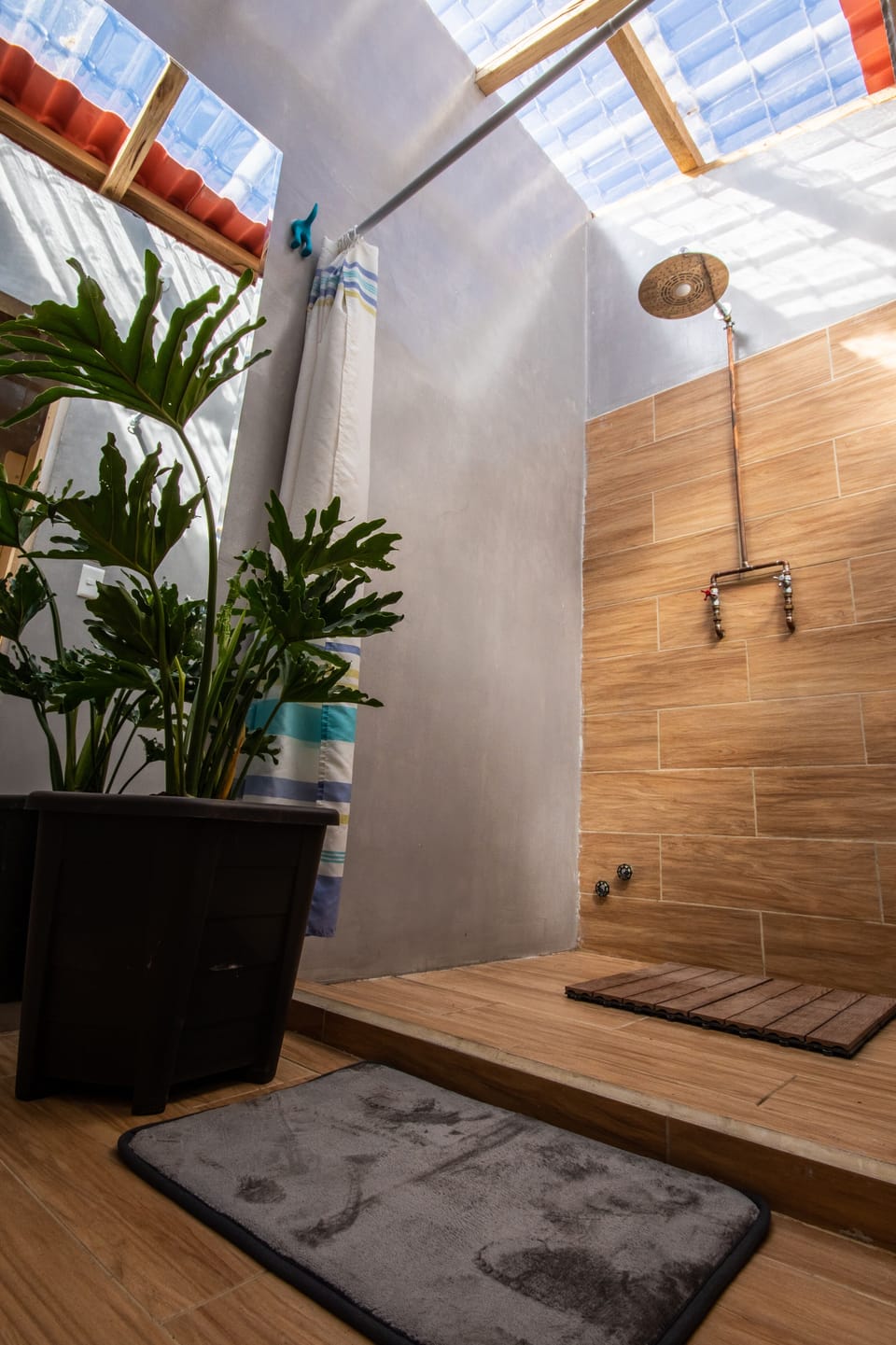 Bathroom shower