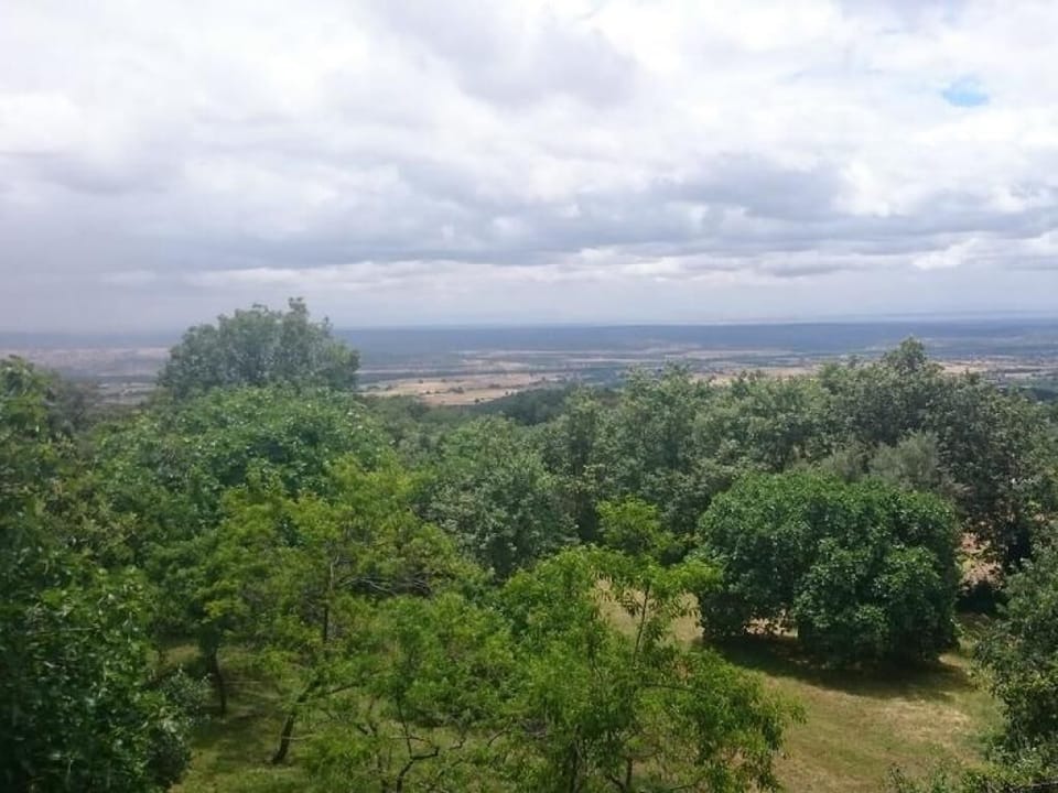 City view from property