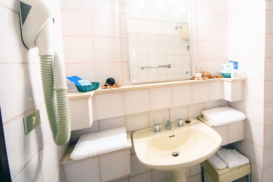 Shower, free toiletries, hair dryer, bidet