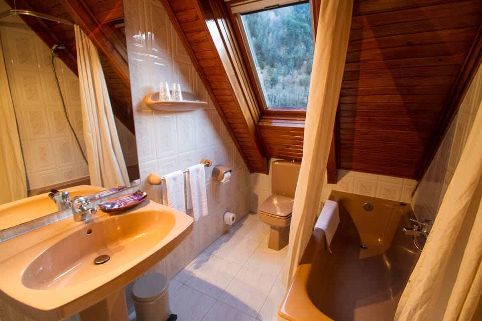 Single Room | Bathroom | Free toiletries, hair dryer, towels
