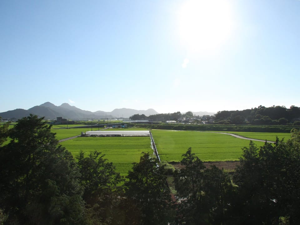 View from room
