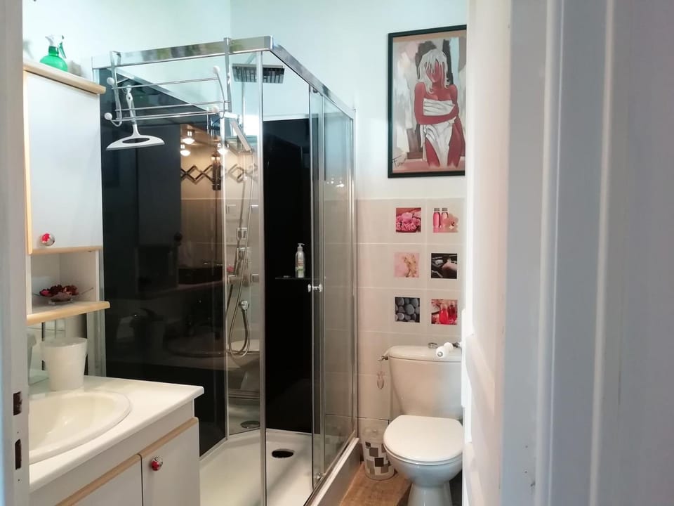 Shower, hydromassage showerhead, hair dryer, towels