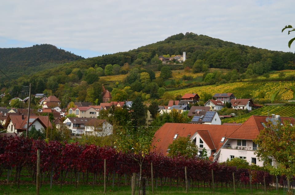 Land view from property