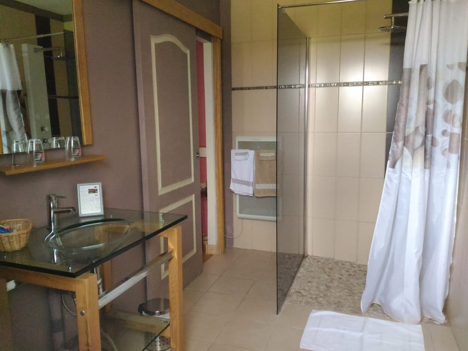Double Room (De la Comba) | Bathroom | Shower, rainfall showerhead, free toiletries, hair dryer