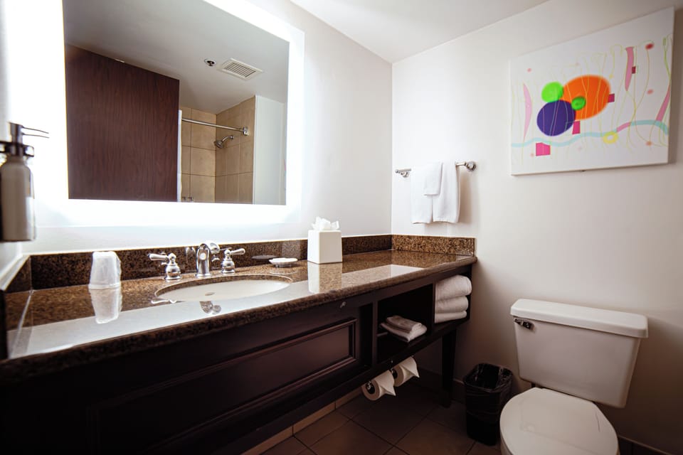 Combined shower/tub, free toiletries, hair dryer, towels