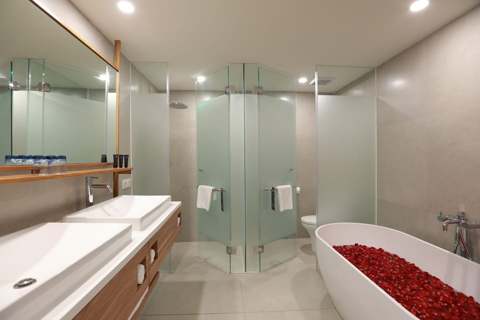 Shower, free toiletries, slippers, towels
