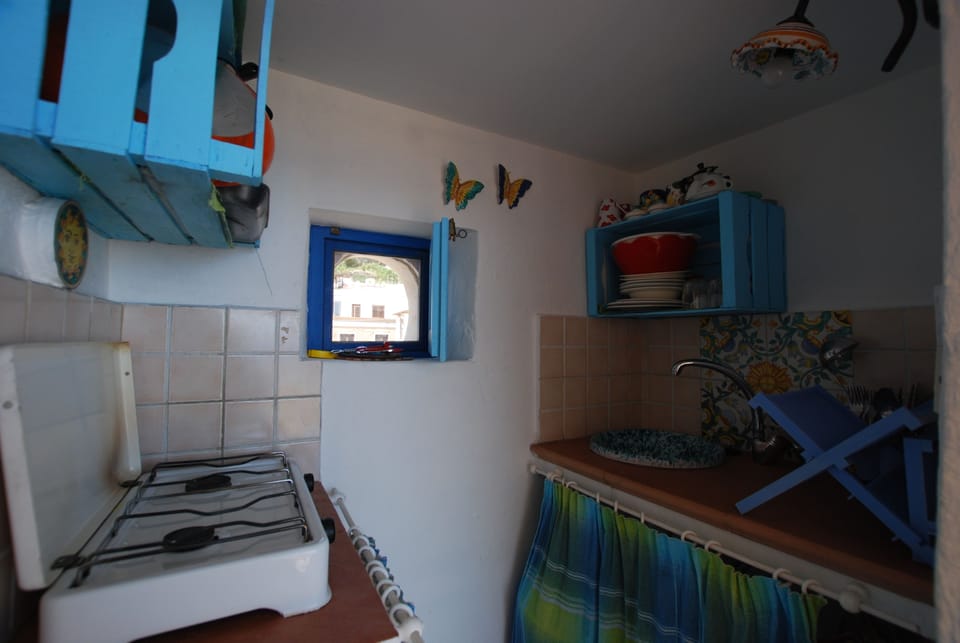 Studio | Private kitchenette | Fridge, stovetop, cookware/dishes/utensils