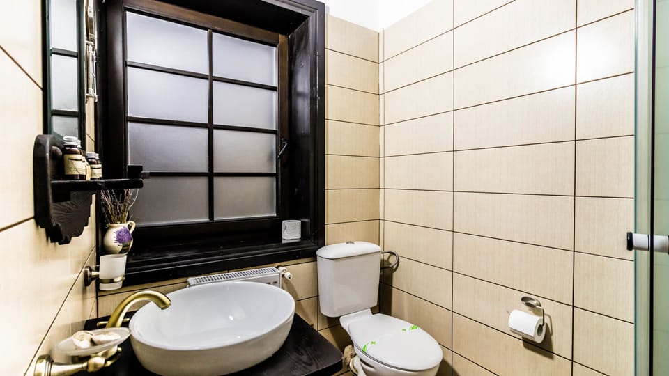 Shower, free toiletries, hair dryer, slippers