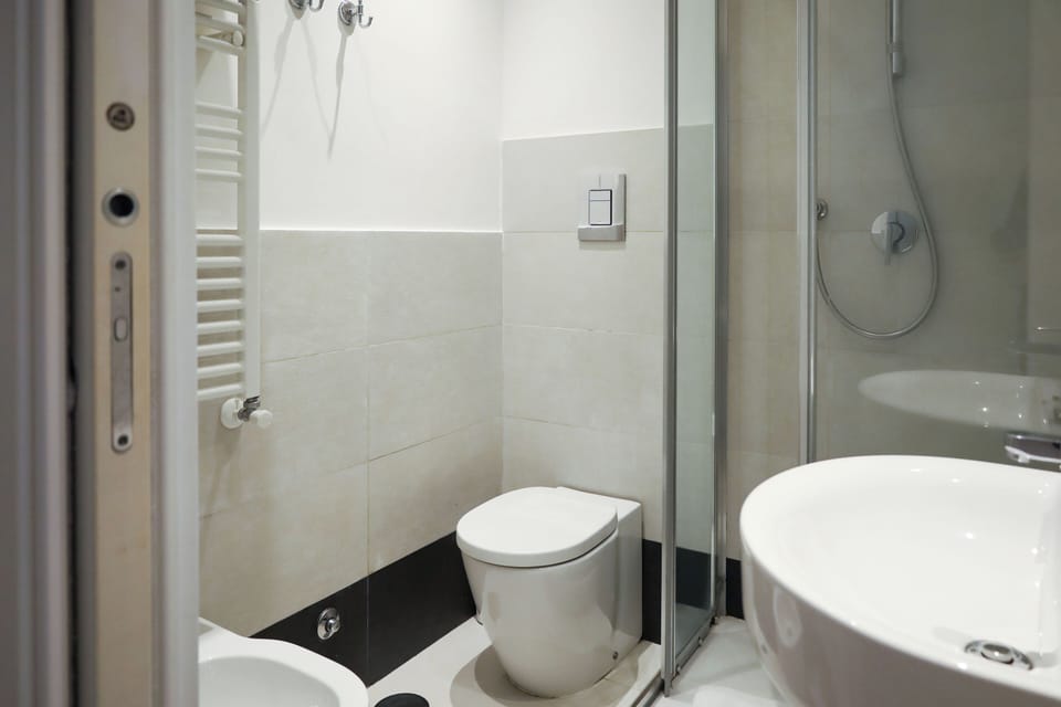 Shower, hair dryer, bidet, towels
